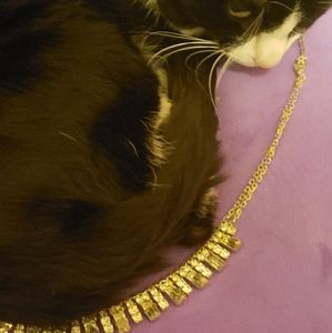 (cat not for sale) lol